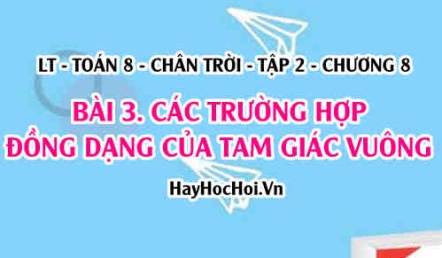Các trường hợp đồng dạng của tam giác vuông? Toán 8 chân trời tập 2 chương 8 bài 3